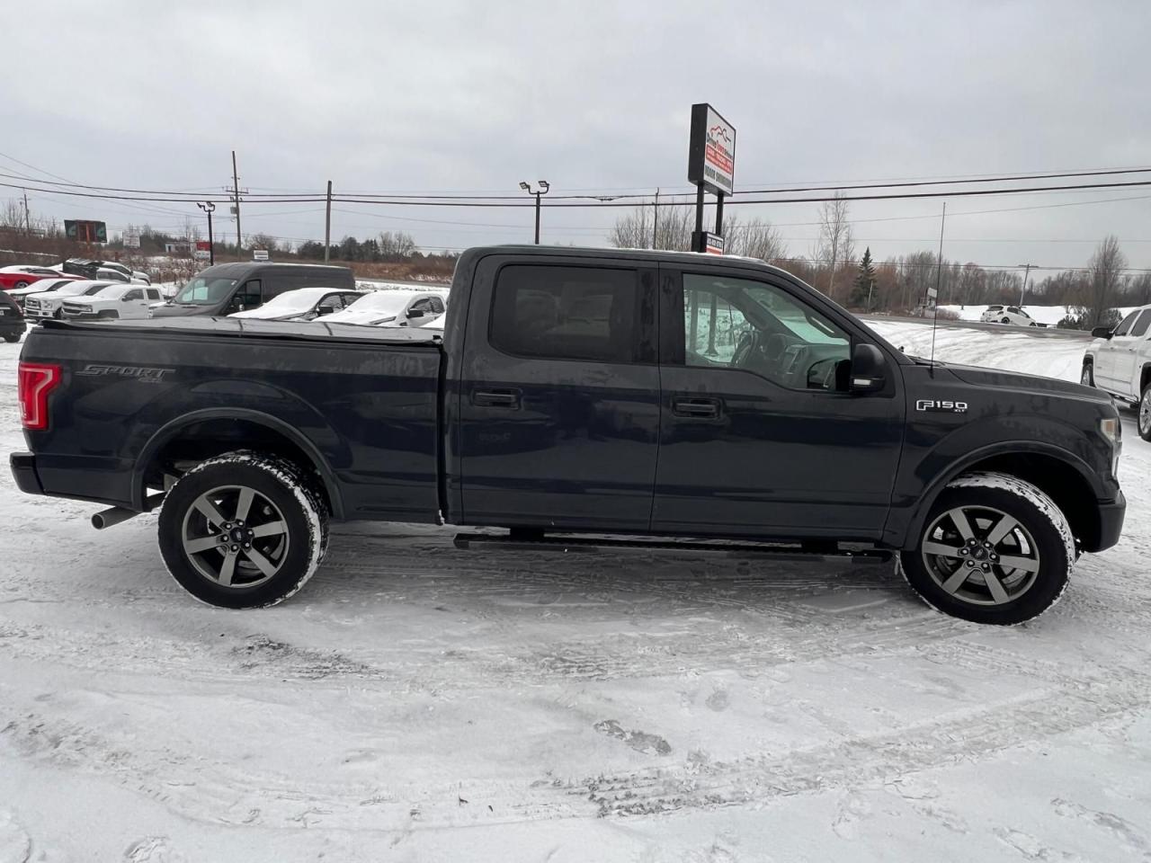 2016 Ford F-150 XLT Photo