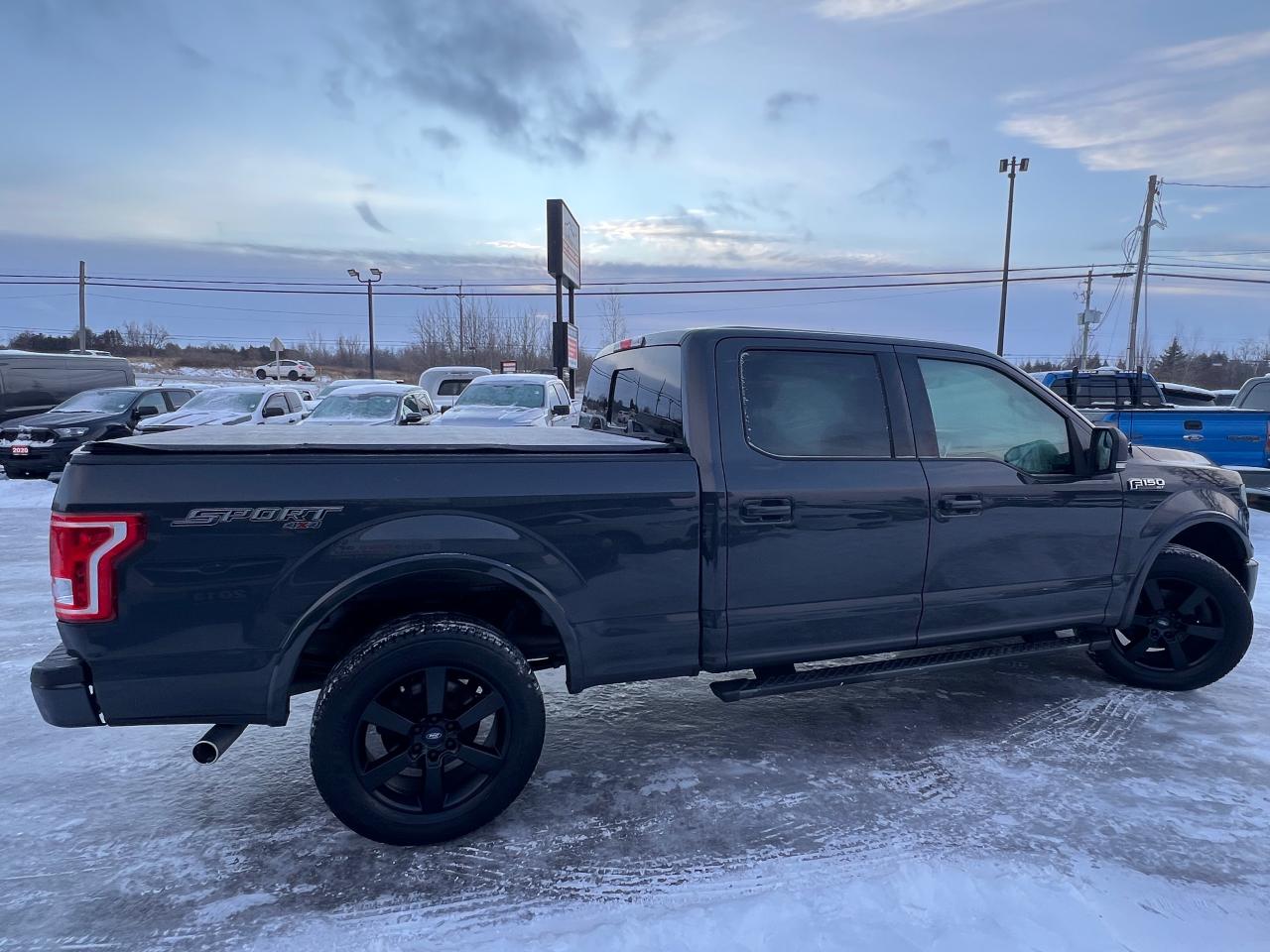 2016 Ford F-150 XLT Photo