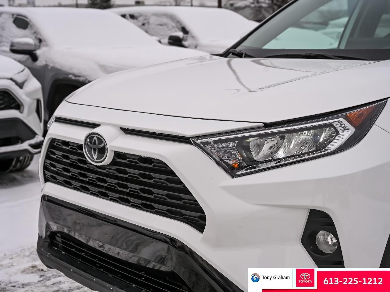 2020 Toyota RAV4 XLE Photo