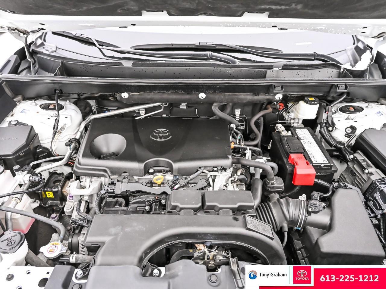 2020 Toyota RAV4 XLE Photo