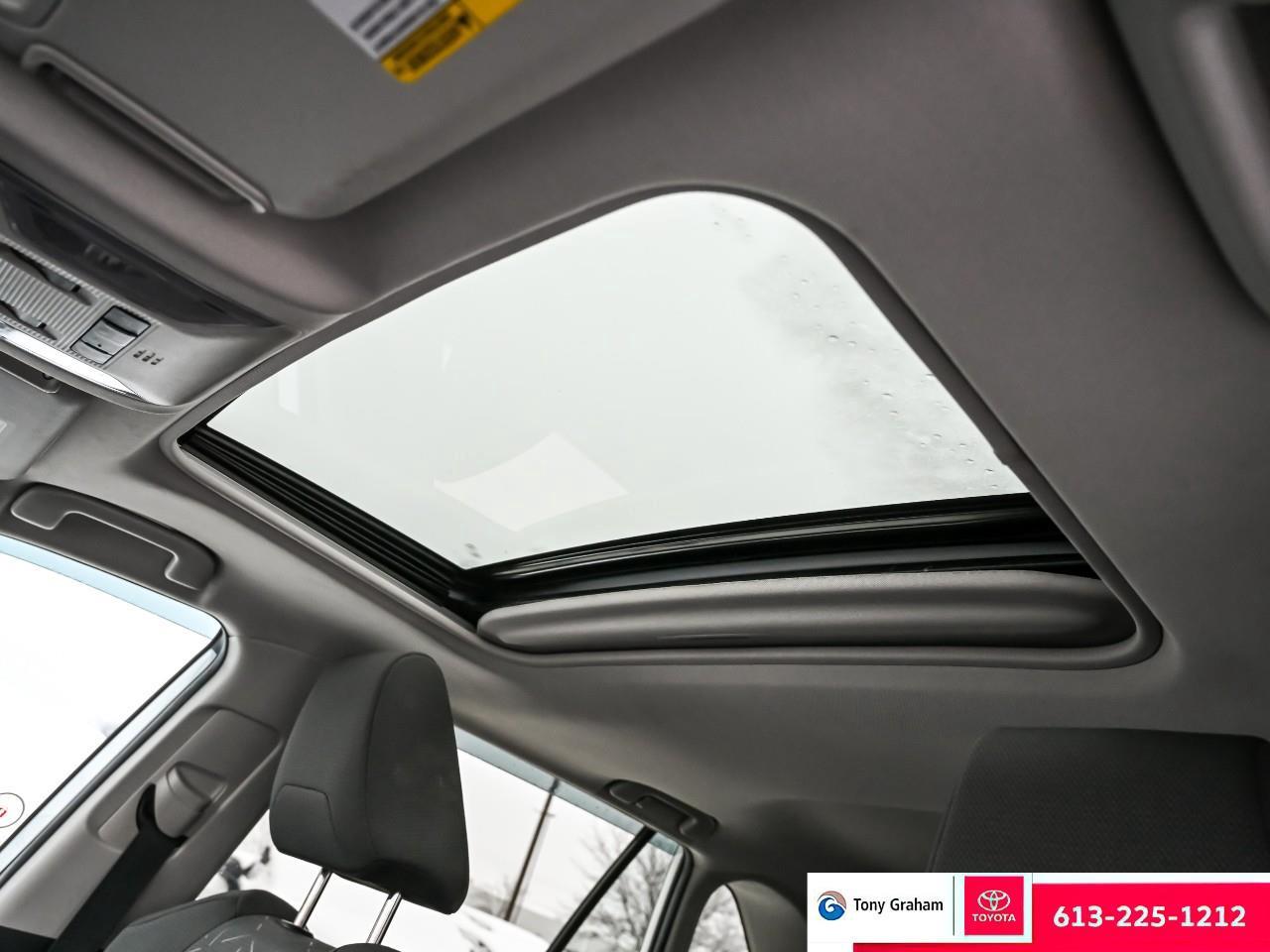 2020 Toyota RAV4 XLE Photo