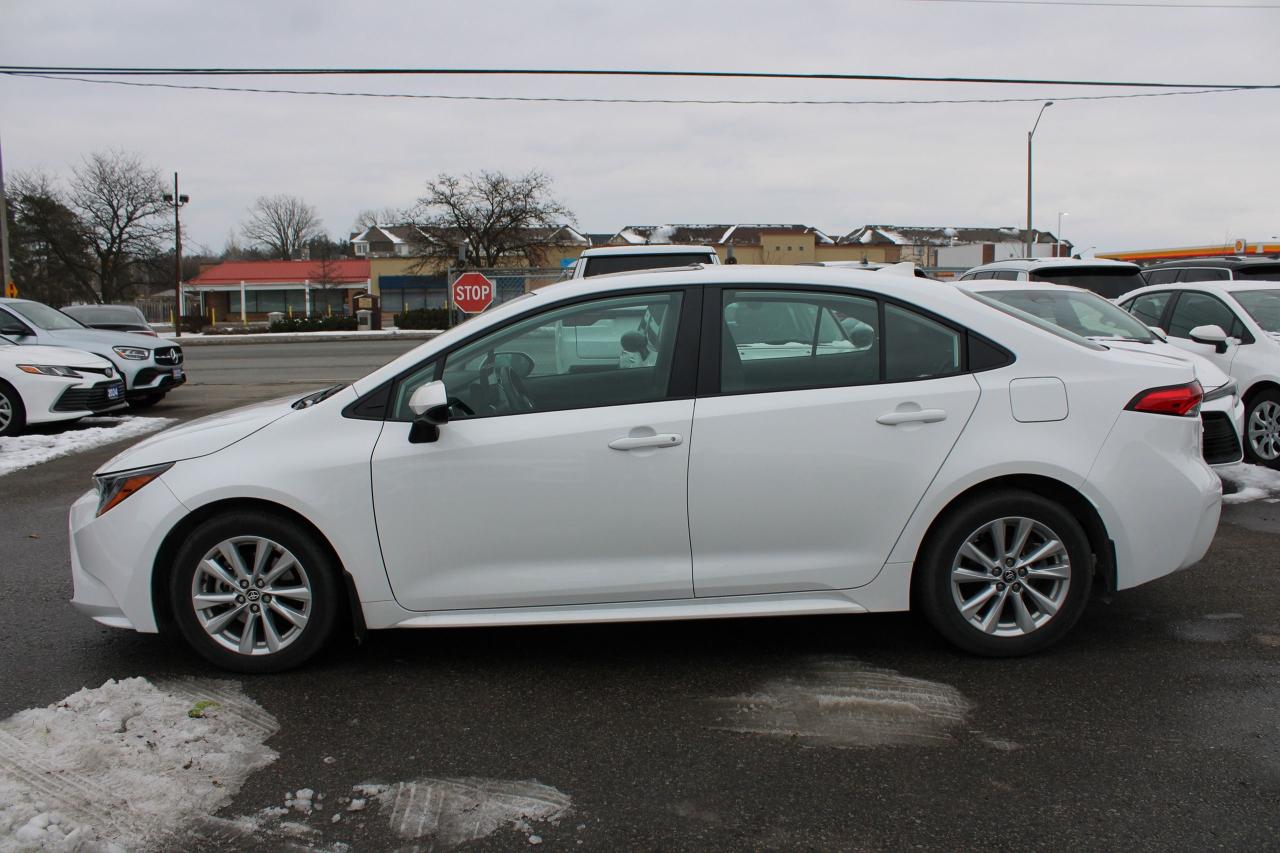 2024 Toyota Corolla LE Plus Photo