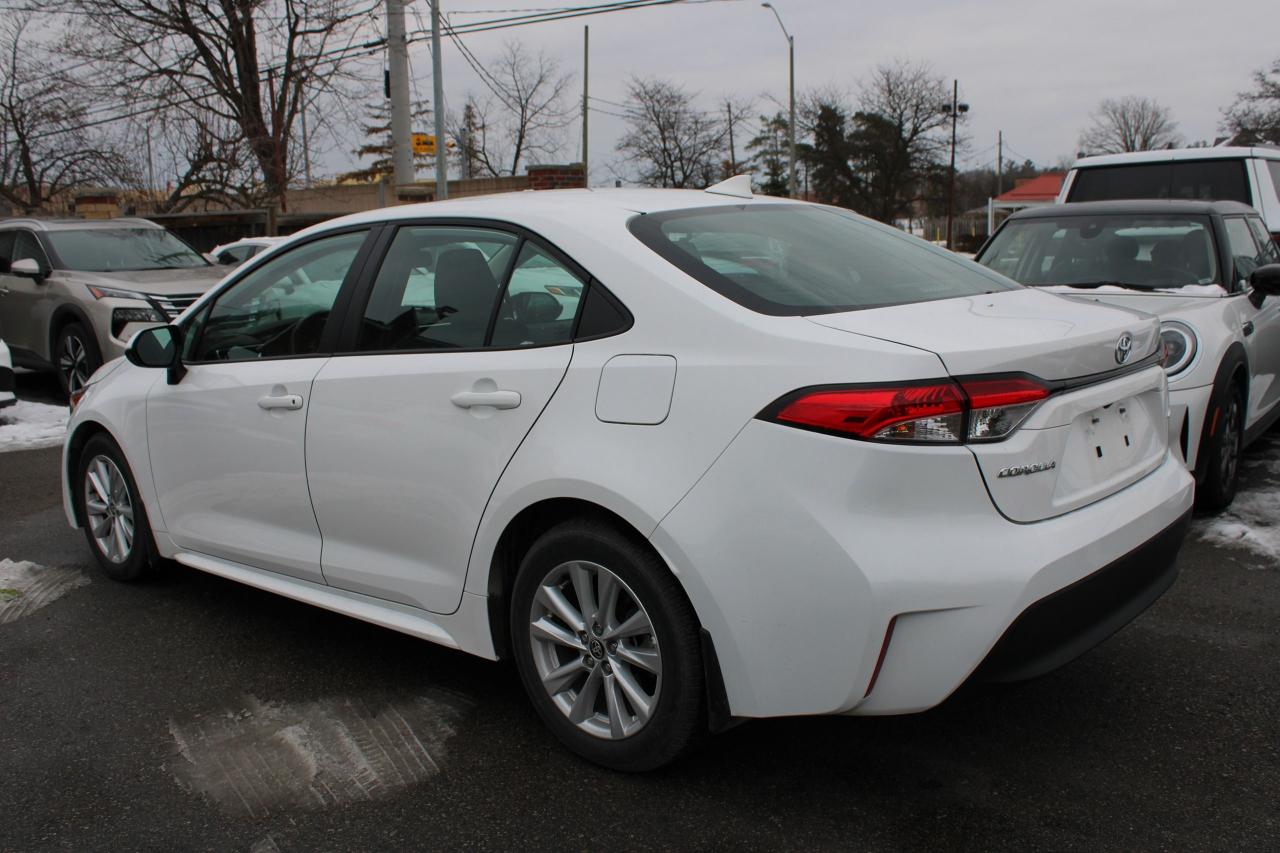 2024 Toyota Corolla LE Plus Photo