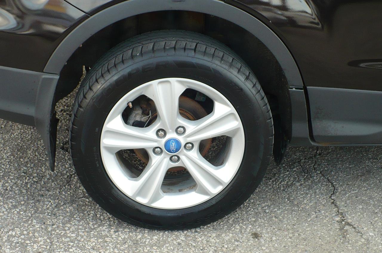 2013 Ford Escape SE Photo