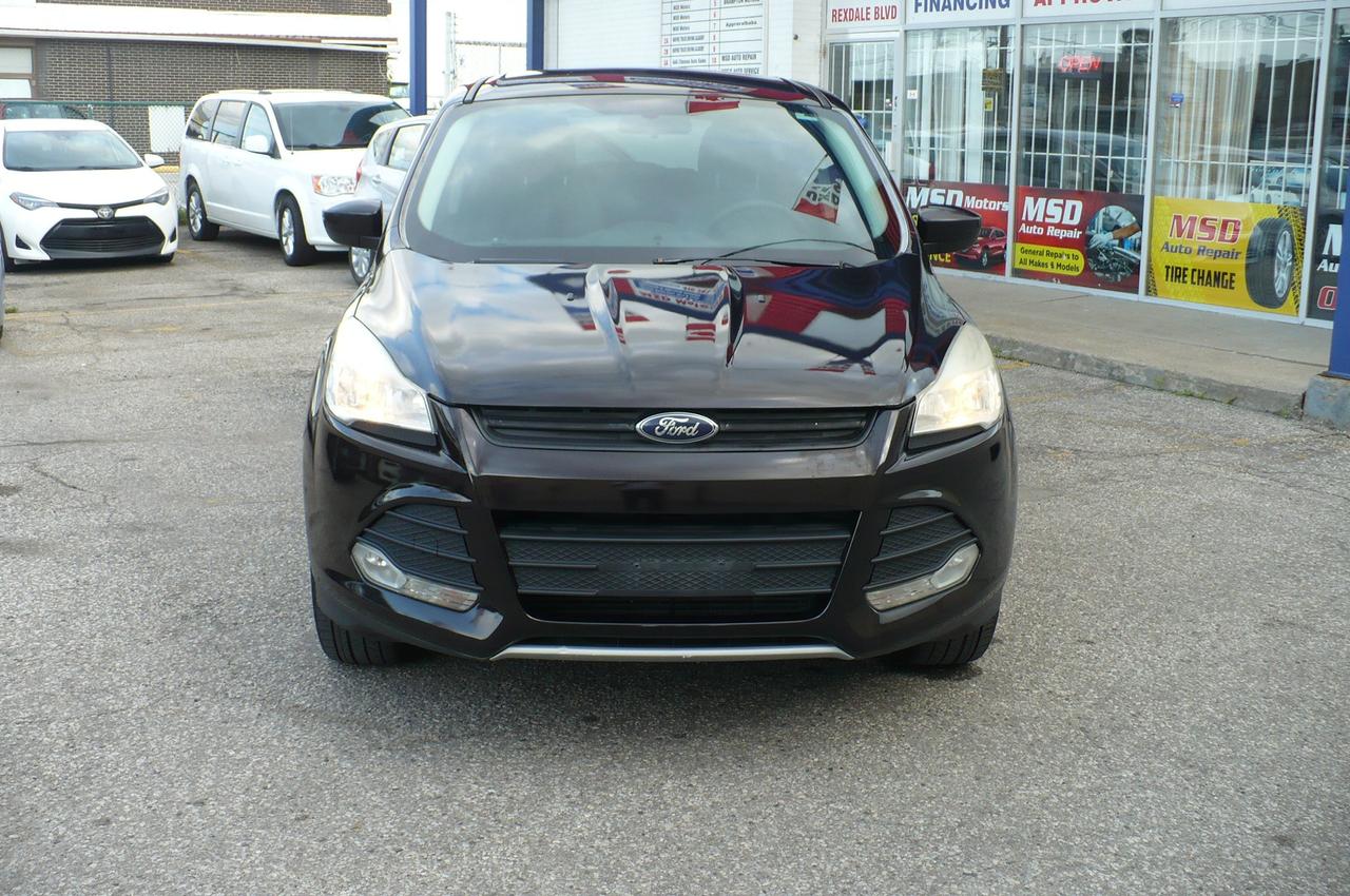 2013 Ford Escape SE Photo