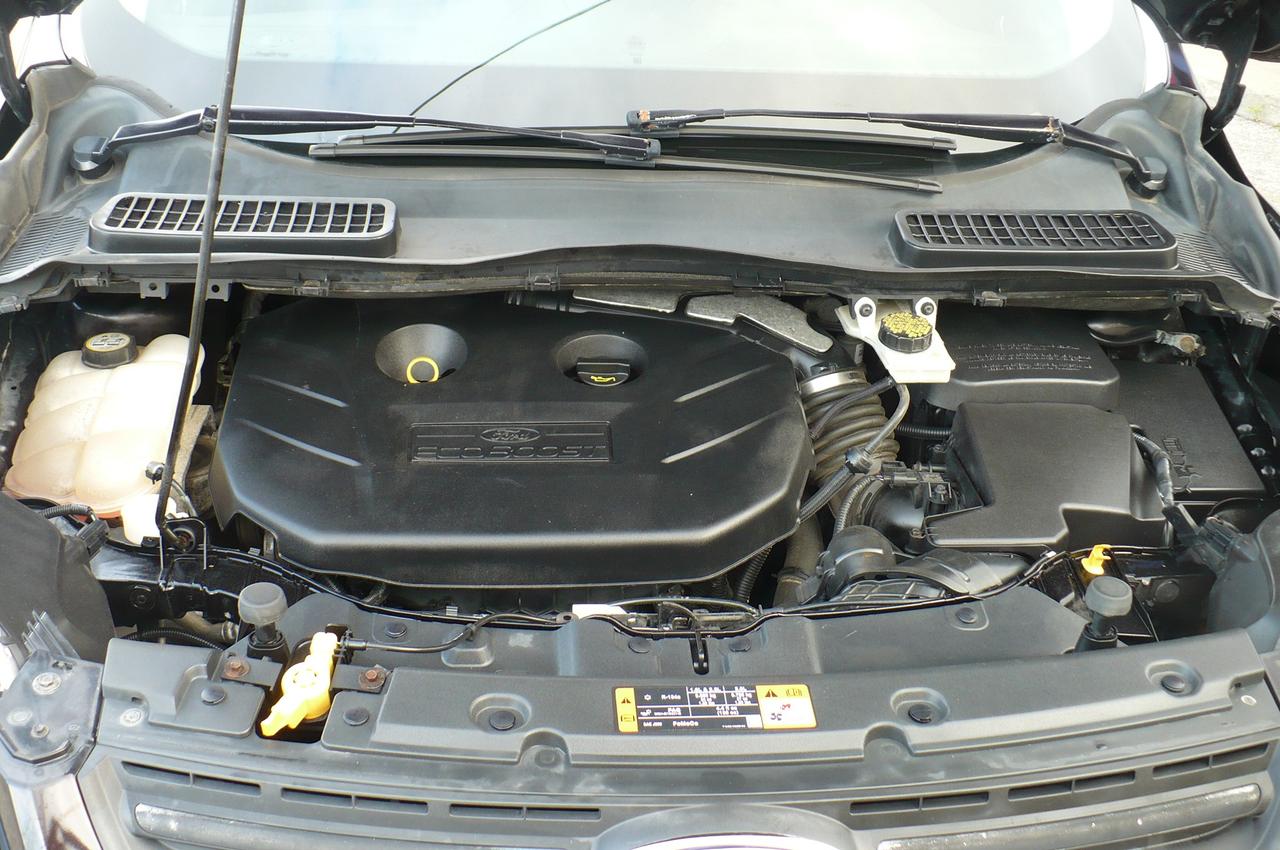 2013 Ford Escape SE Photo