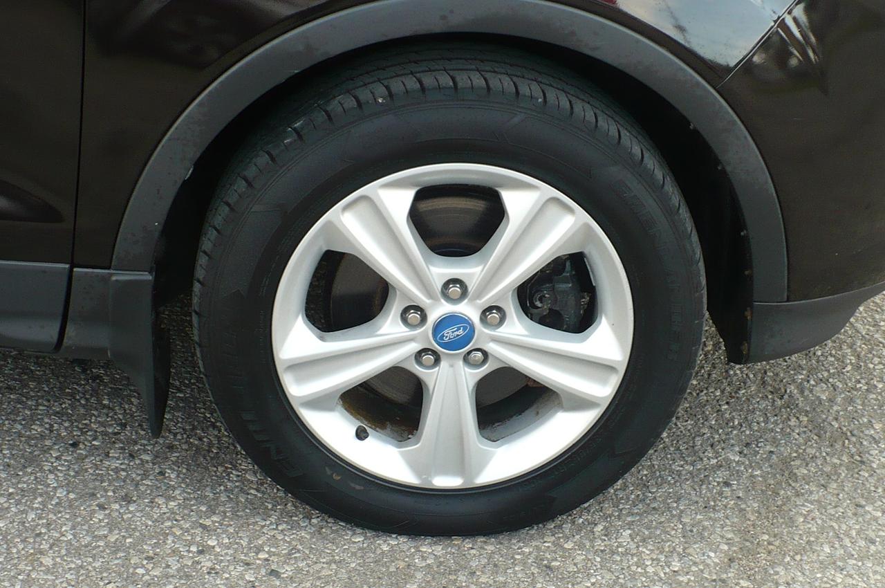 2013 Ford Escape SE Photo