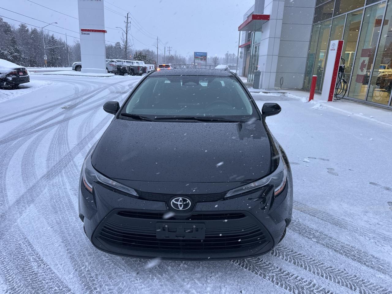 2023 Toyota Corolla LE Photo