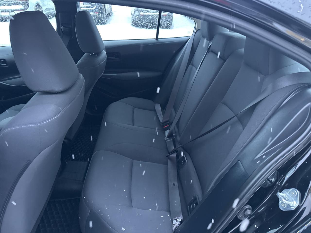 2023 Toyota Corolla LE Photo