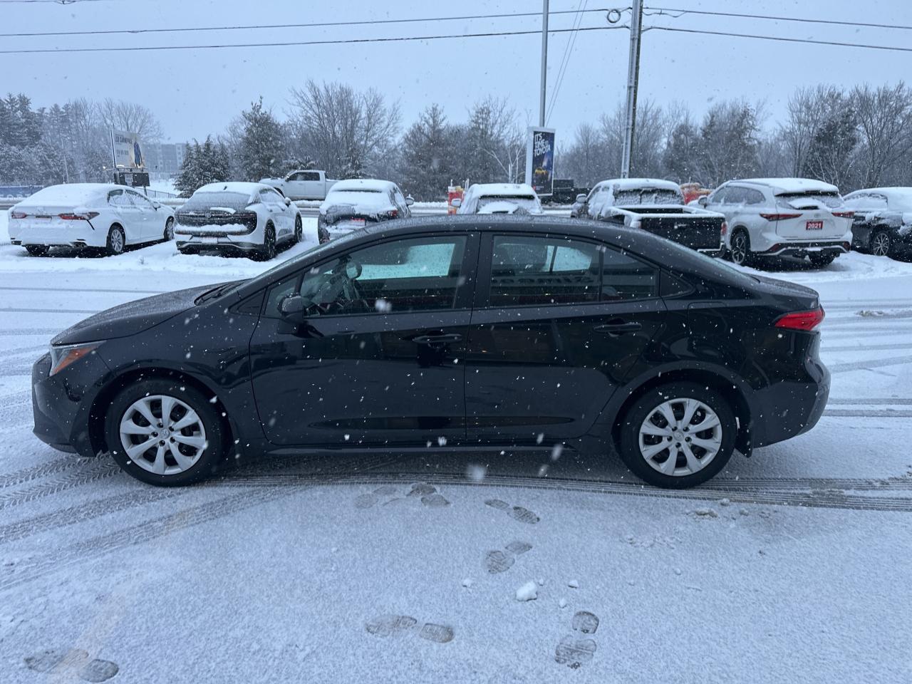 2023 Toyota Corolla LE Photo