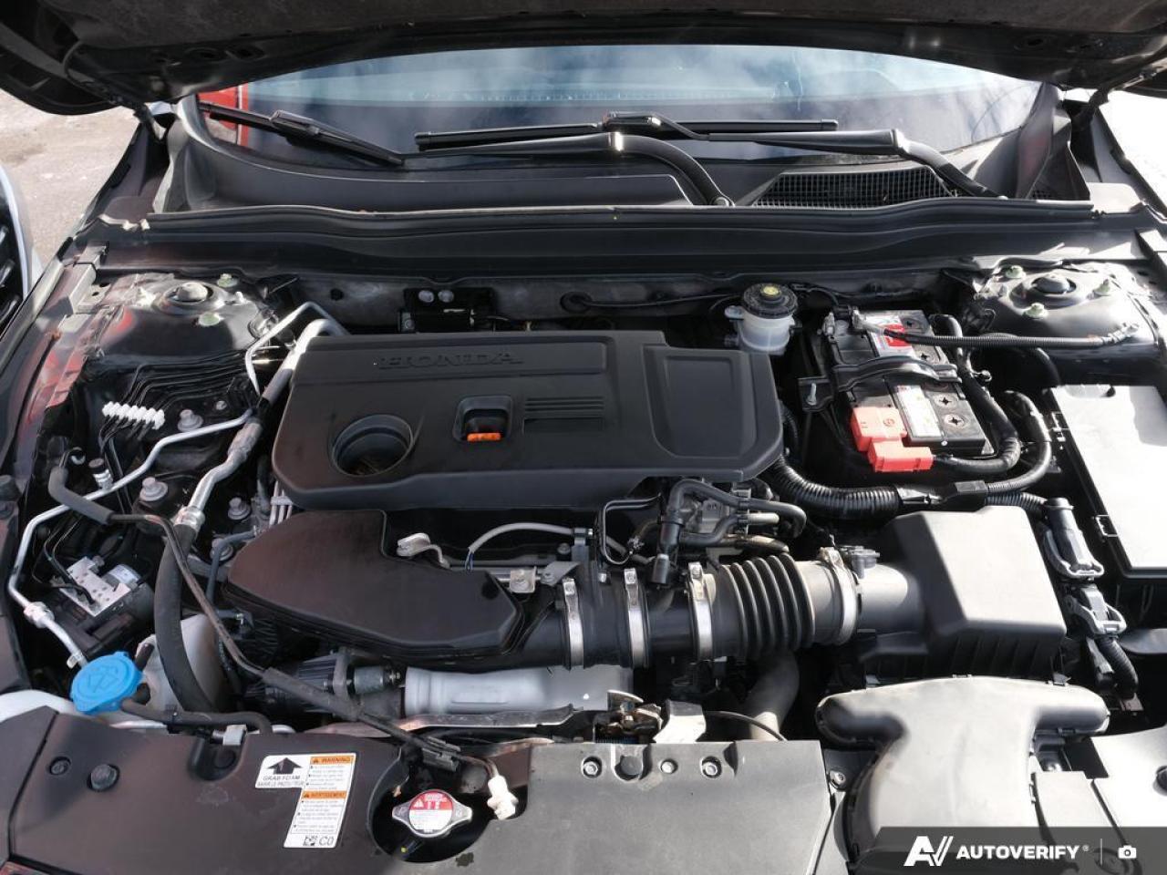 2021 Honda Accord SEDAN Photo