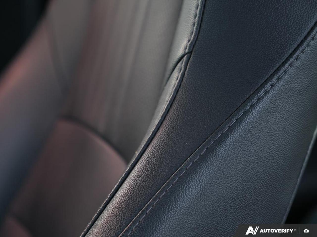 2021 Honda Accord SEDAN Photo