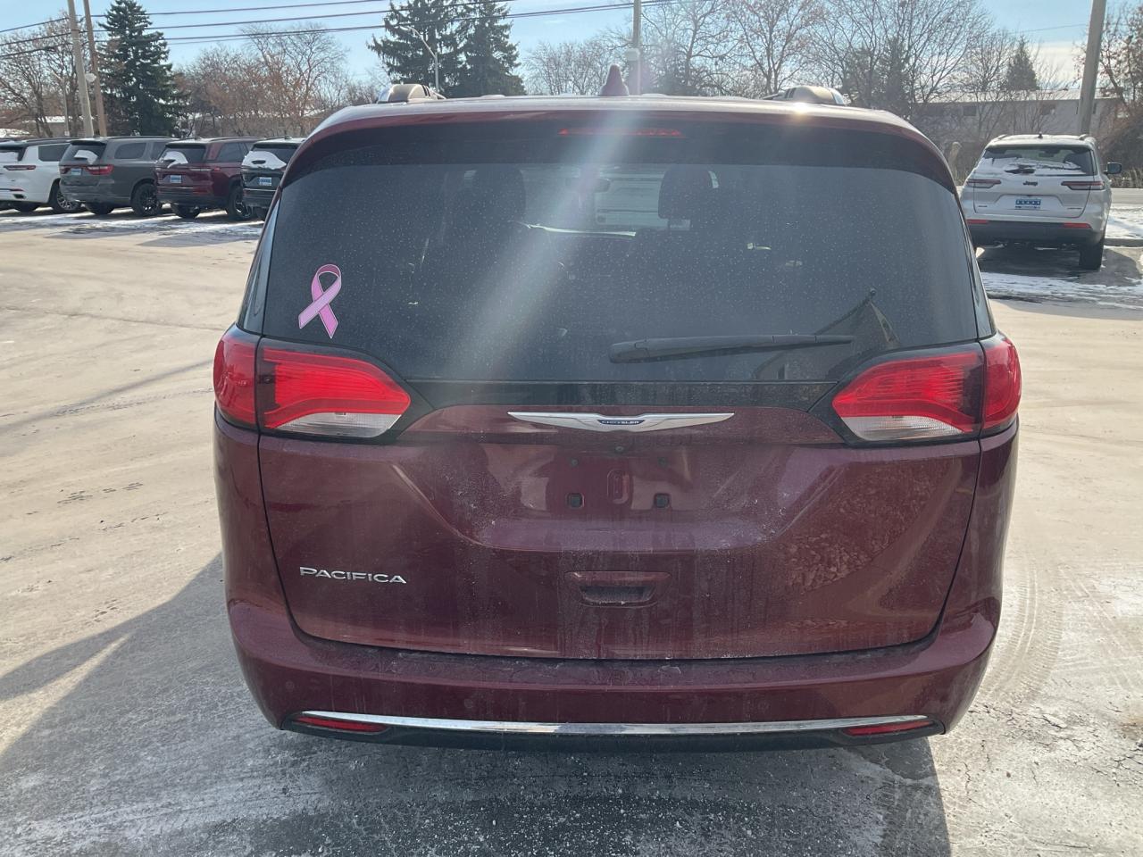 2019 Chrysler Pacifica  Photo