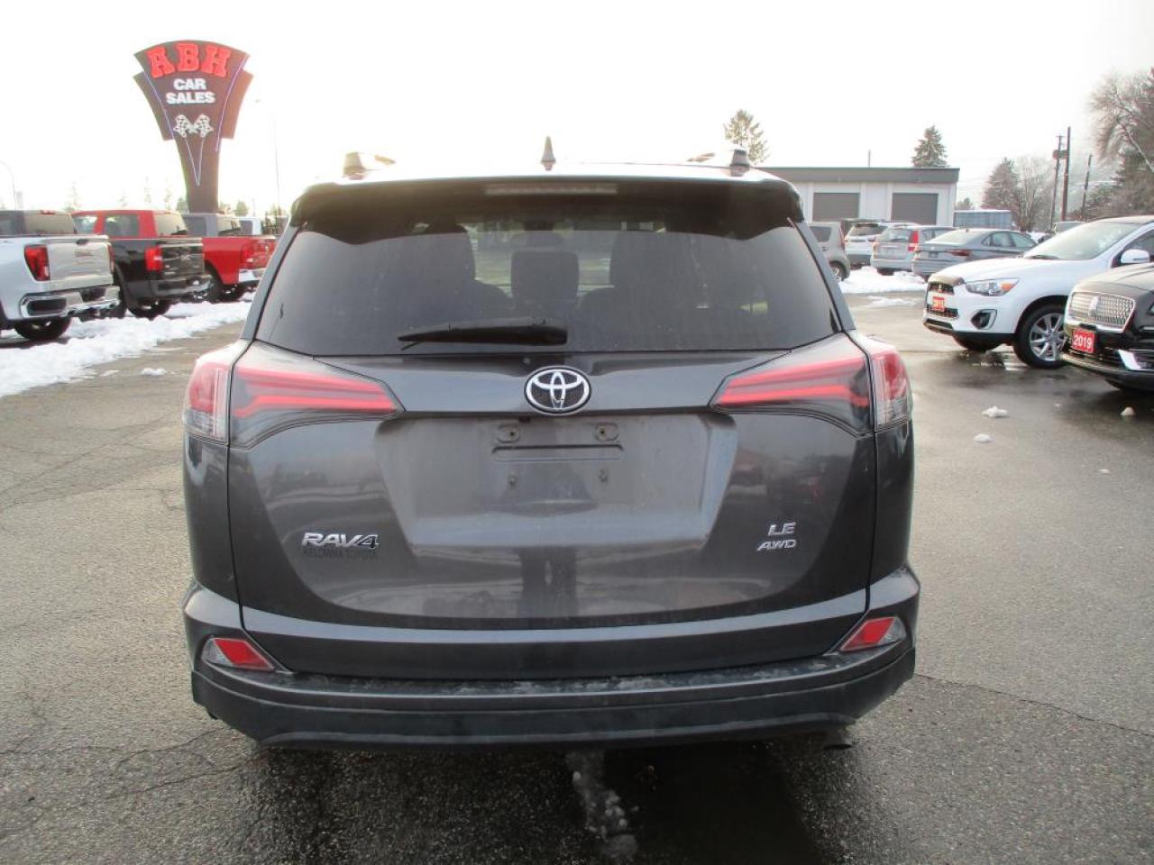2018 Toyota RAV4 LE AWD Photo