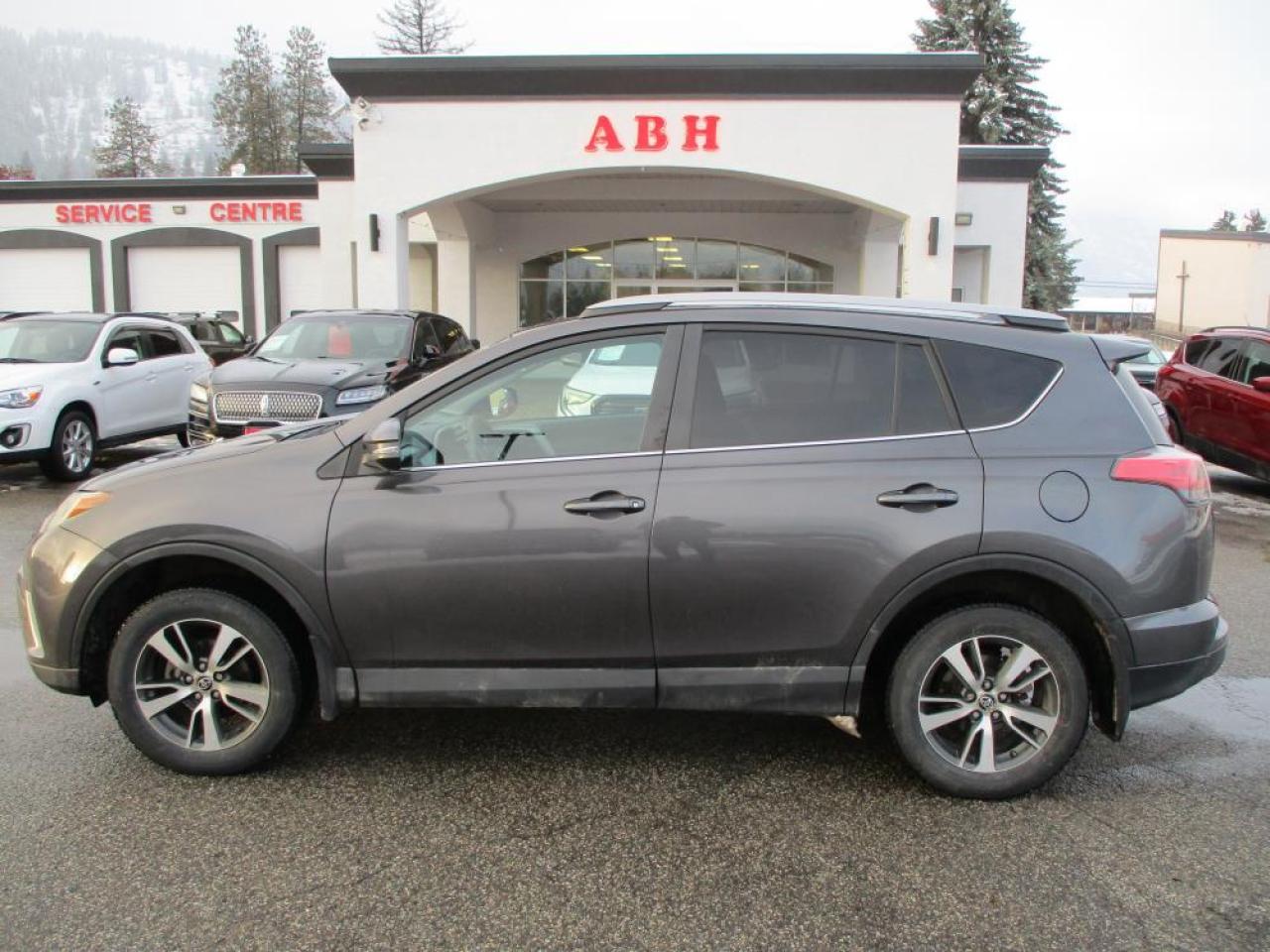 2018 Toyota RAV4 LE AWD Photo2