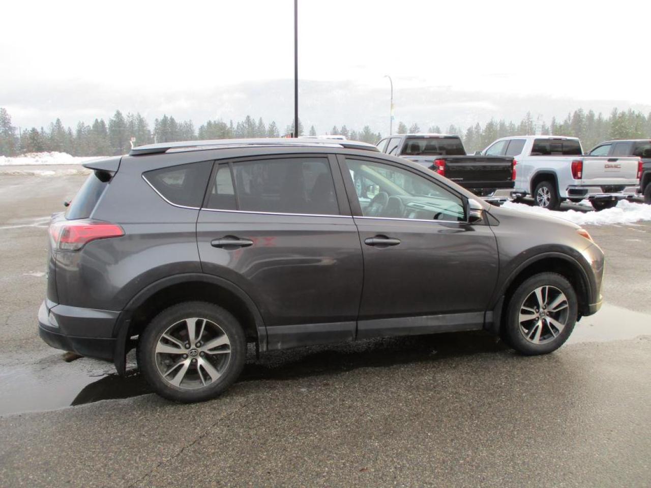 2018 Toyota RAV4 LE AWD Photo