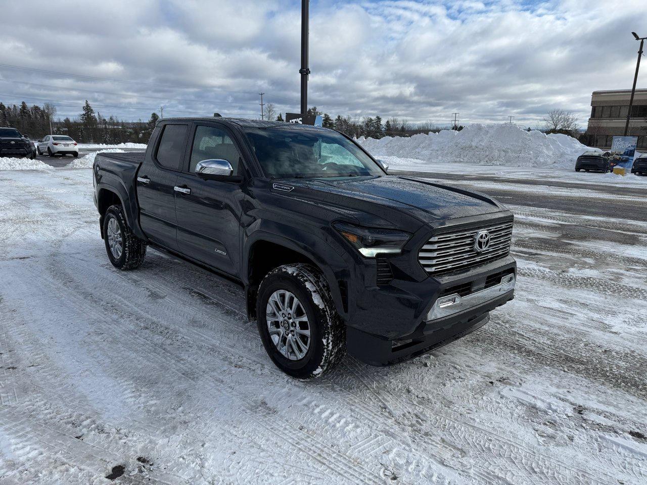 2025 Toyota TACOMA HYBRID Limited Photo