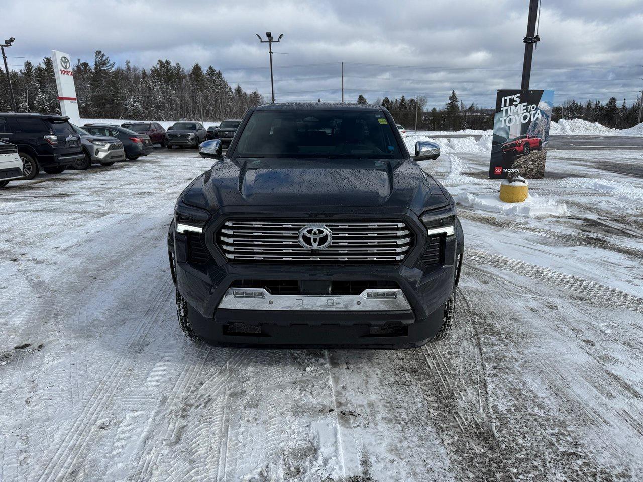 2025 Toyota TACOMA HYBRID Limited Photo