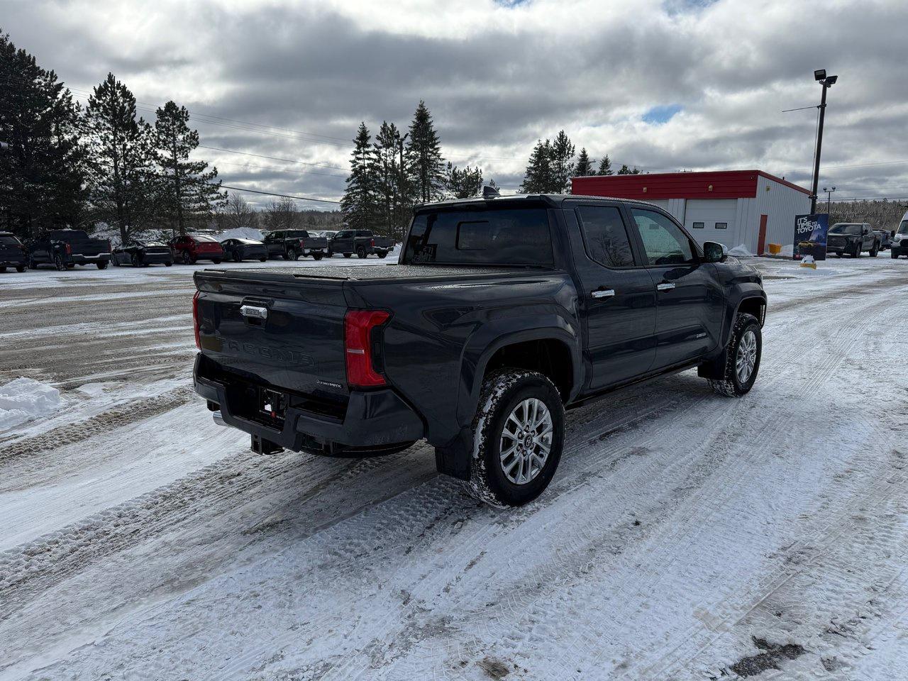2025 Toyota TACOMA HYBRID Limited Photo4