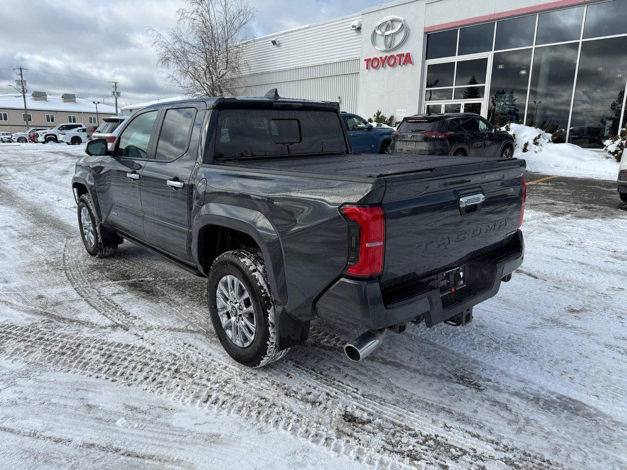 2025 Toyota TACOMA HYBRID Limited Photo