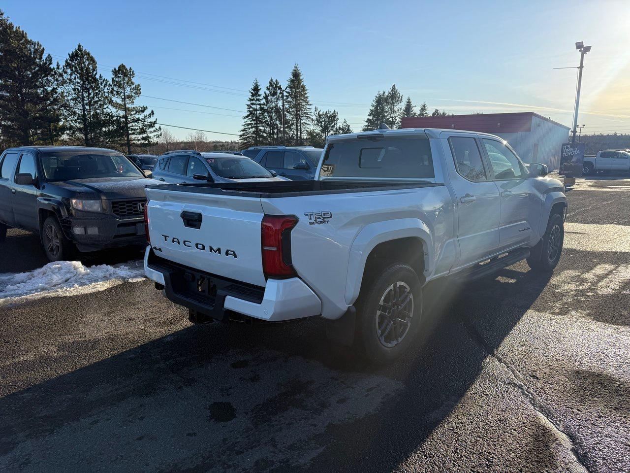 2025 Toyota Tacoma TRD SPORT PREMIUM Photo
