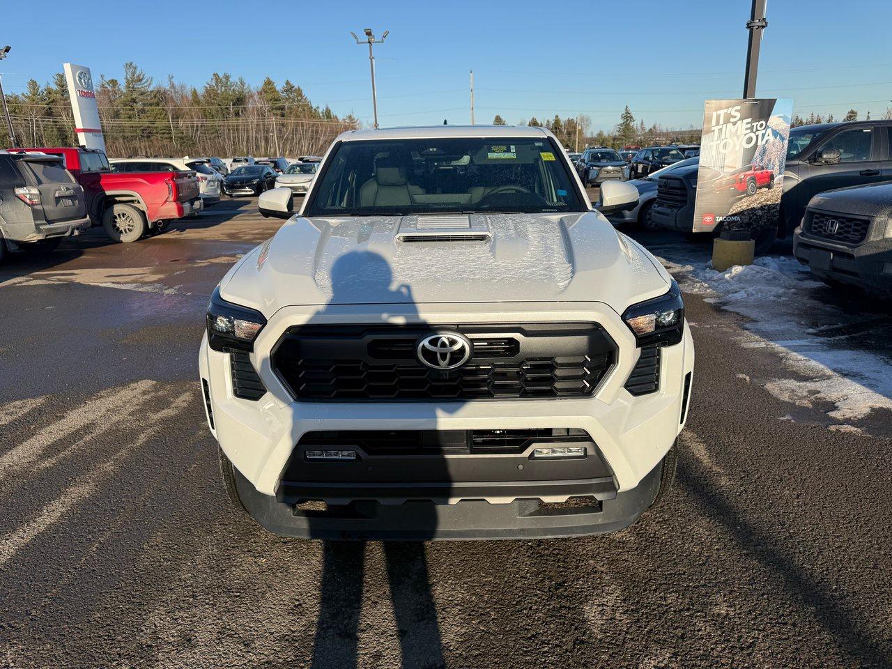 2025 Toyota Tacoma TRD SPORT PREMIUM Photo1