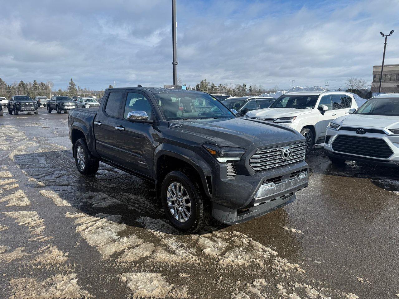 2025 Toyota TACOMA HYBRID Limited Photo2