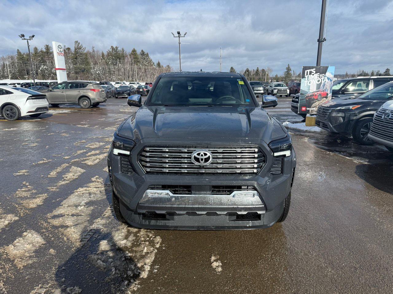 2025 Toyota TACOMA HYBRID Limited Photo1