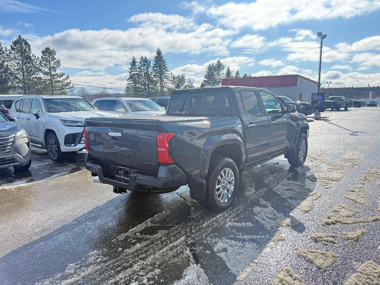 2025 Toyota TACOMA HYBRID Limited Photo4