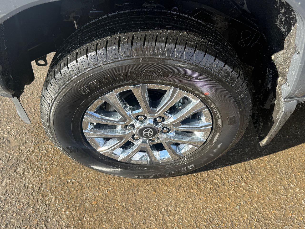 2025 Toyota TACOMA HYBRID Limited Photo3