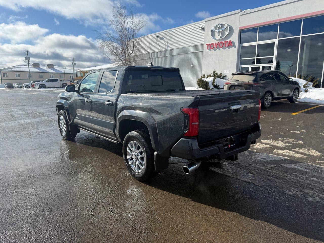 2025 Toyota TACOMA HYBRID Limited Photo