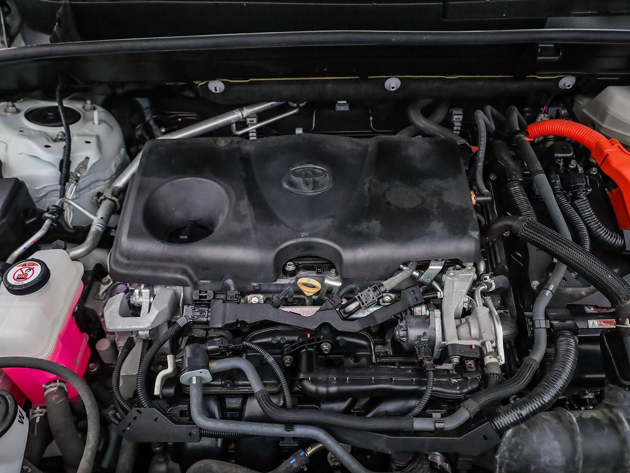 2022 Toyota Venza LE Photo