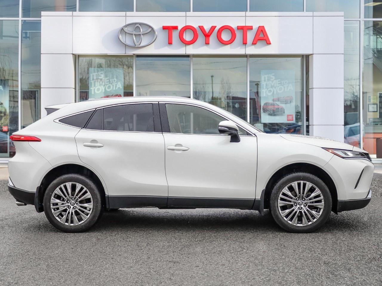 2022 Toyota Venza LE Photo