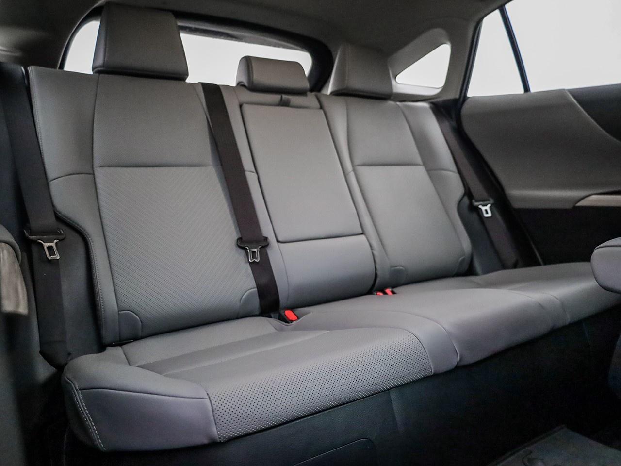 2022 Toyota Venza LE Photo