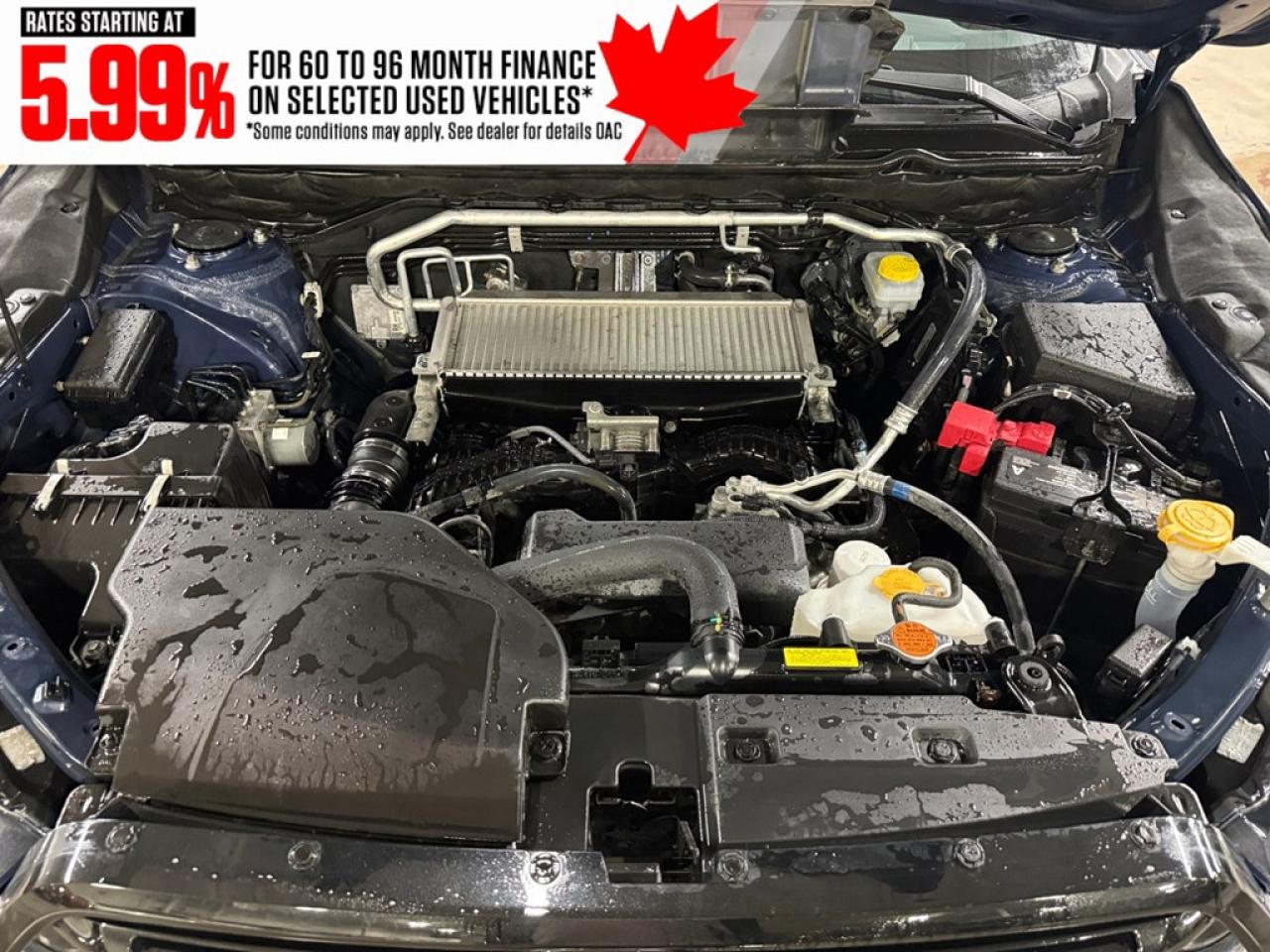 2023 Subaru ASCENT Touring 8-Passenger Photo