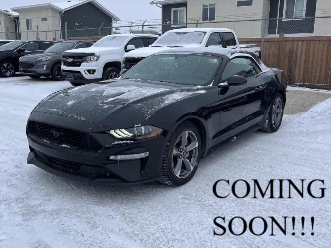 Used 2018 Ford Mustang EcoBoost Premium| COMING SOON !!! | for sale in Winnipeg, MB