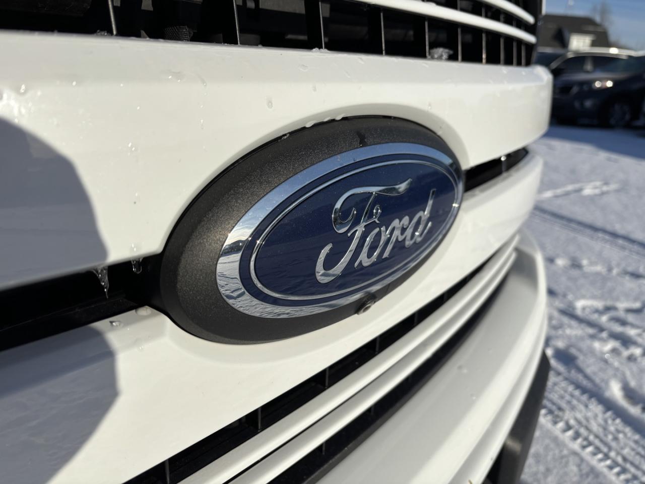 2019 Ford F-150 Lariat Photo