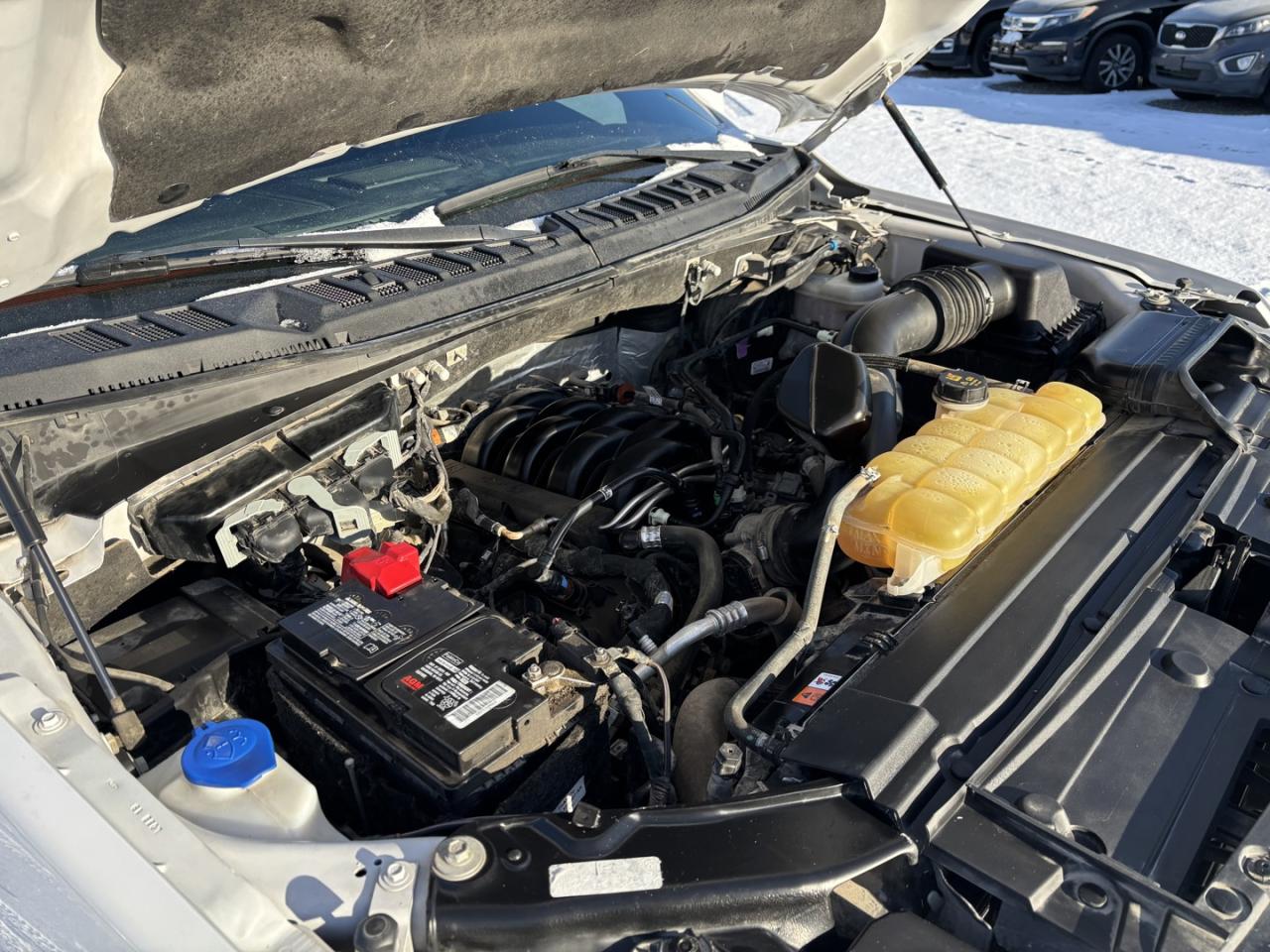 2019 Ford F-150 Lariat Photo