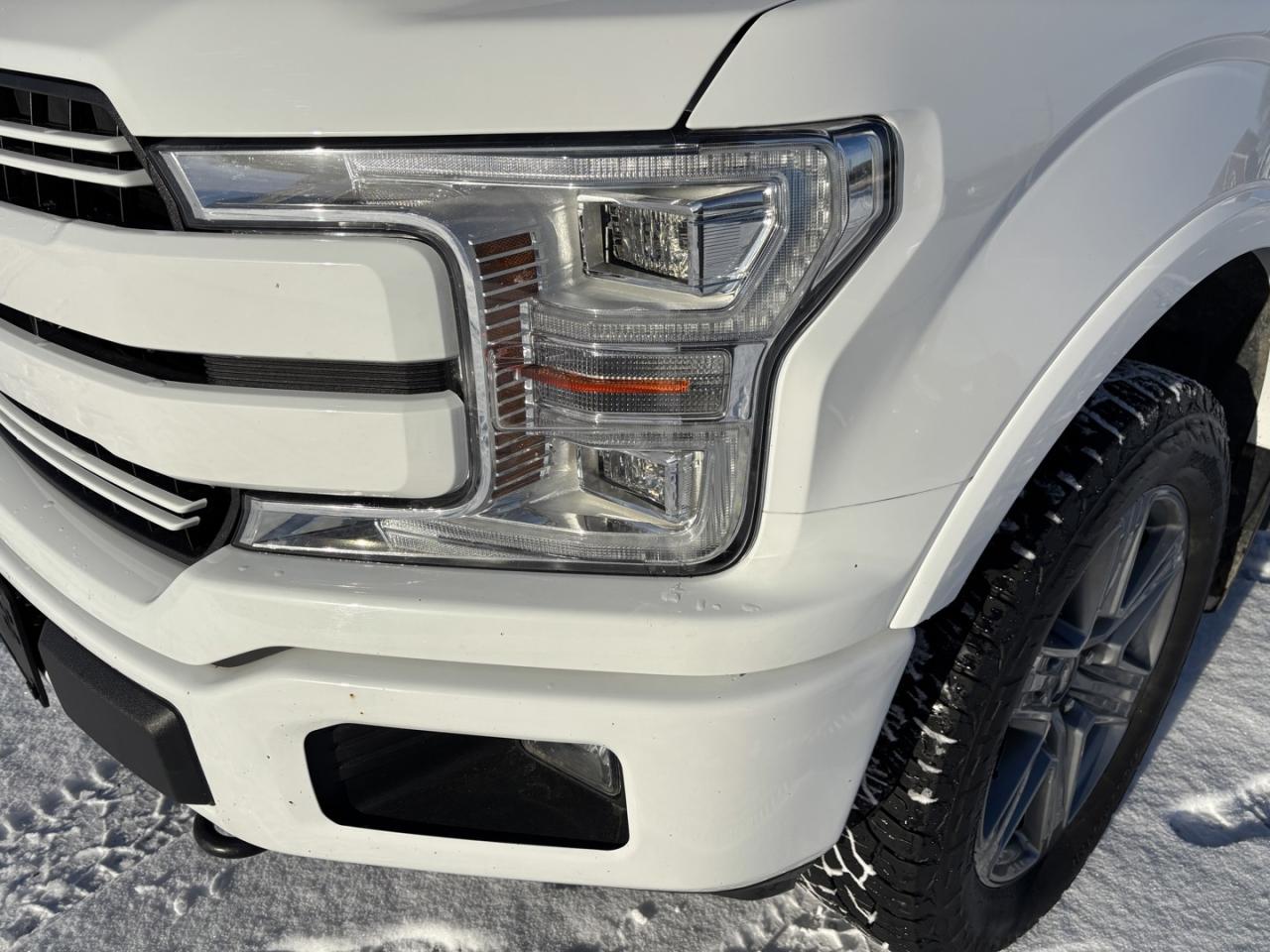2019 Ford F-150 Lariat Photo