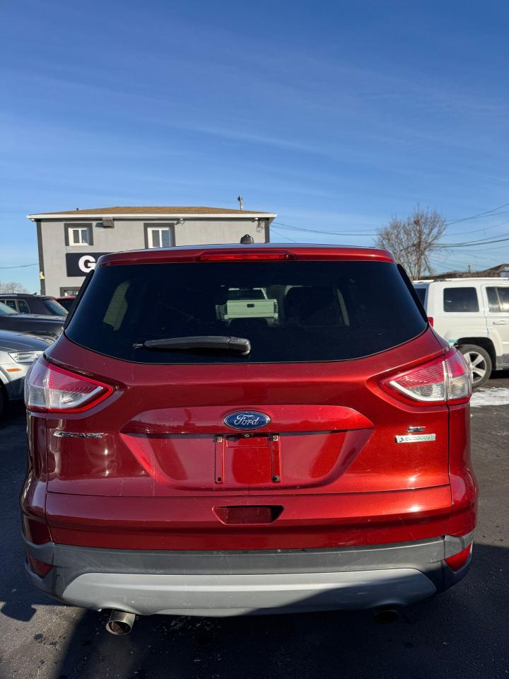 2014 Ford Escape FWD SE | Certified Photo