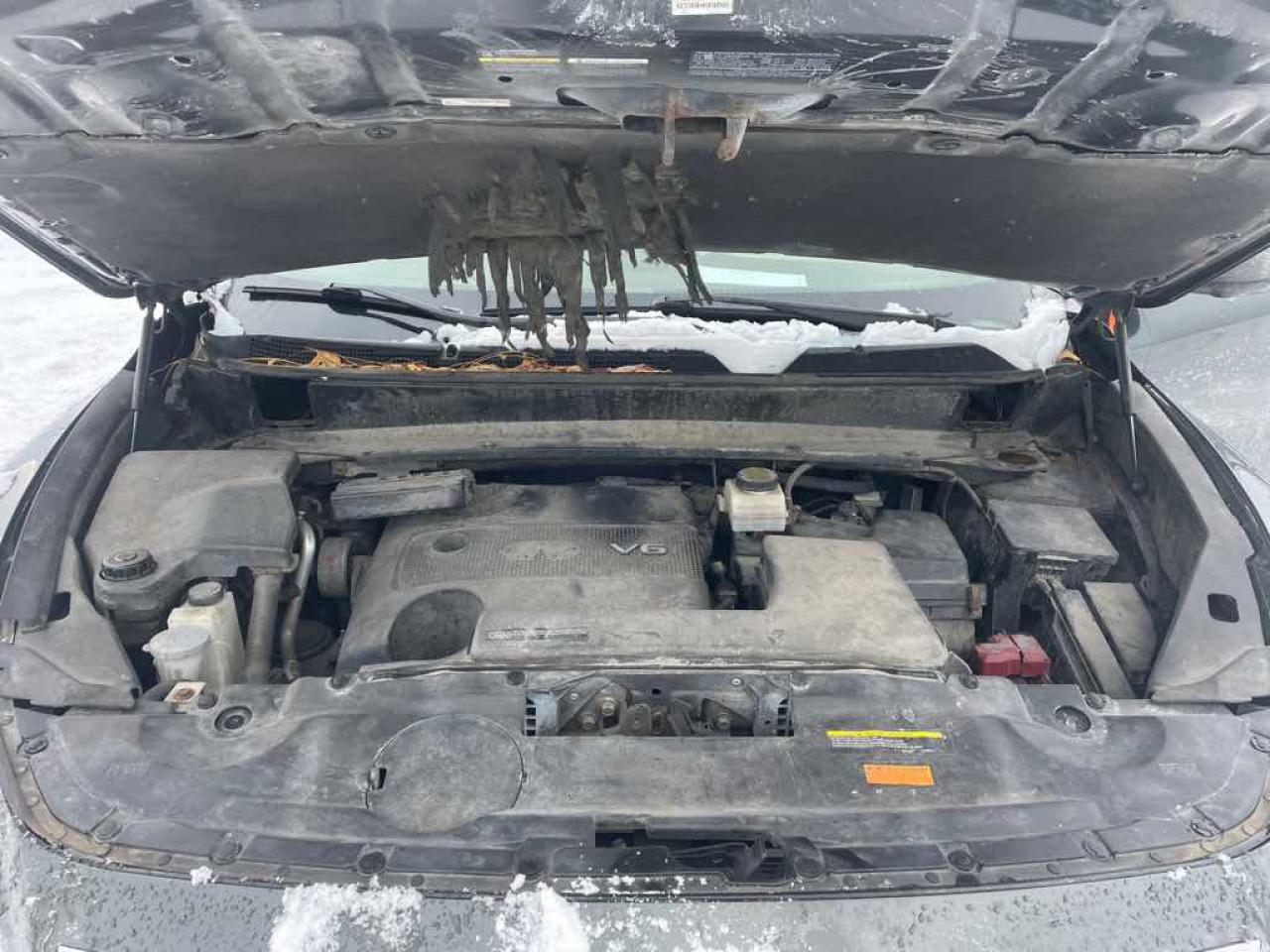 2013 Infiniti JX35  Photo