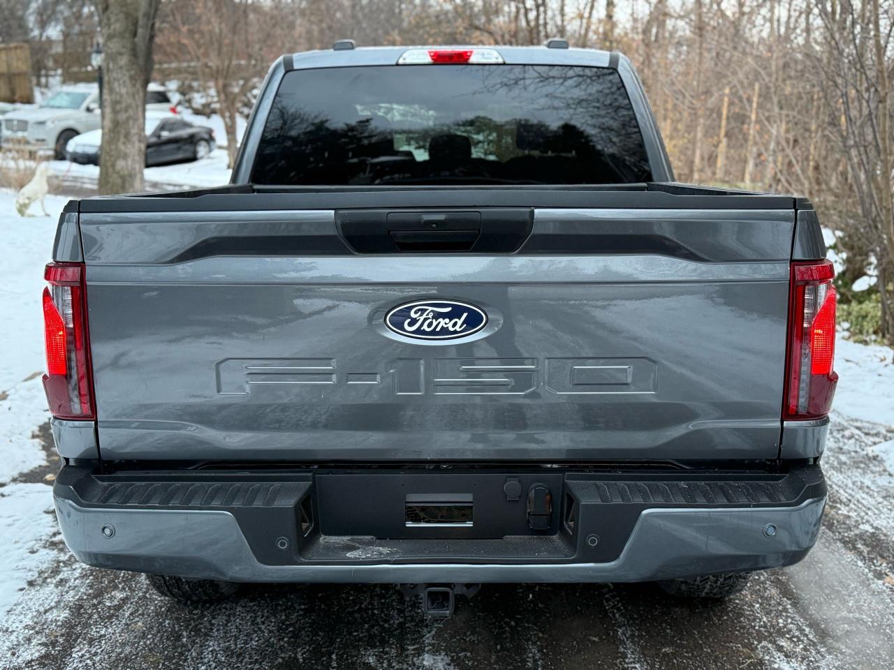2024 Ford F-150 STX - Photo #6
