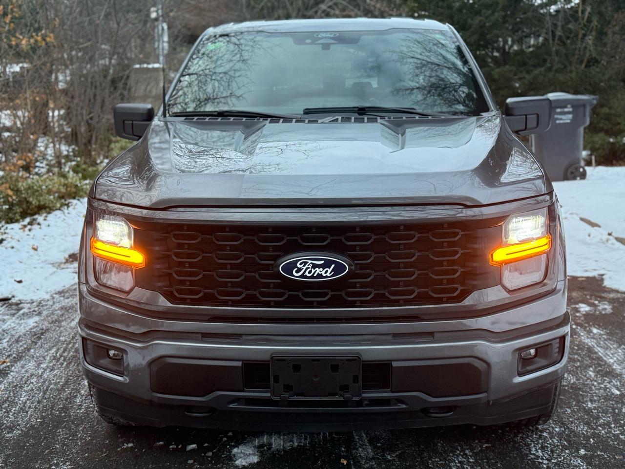 2024 Ford F-150 STX Photo4