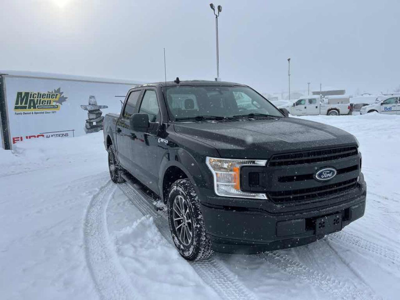2020 Ford F-150 POLICE RESPON Photo