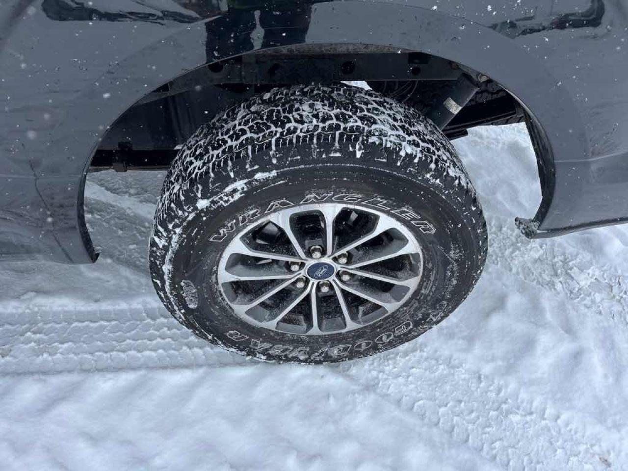 2020 Ford F-150 POLICE RESPON Photo