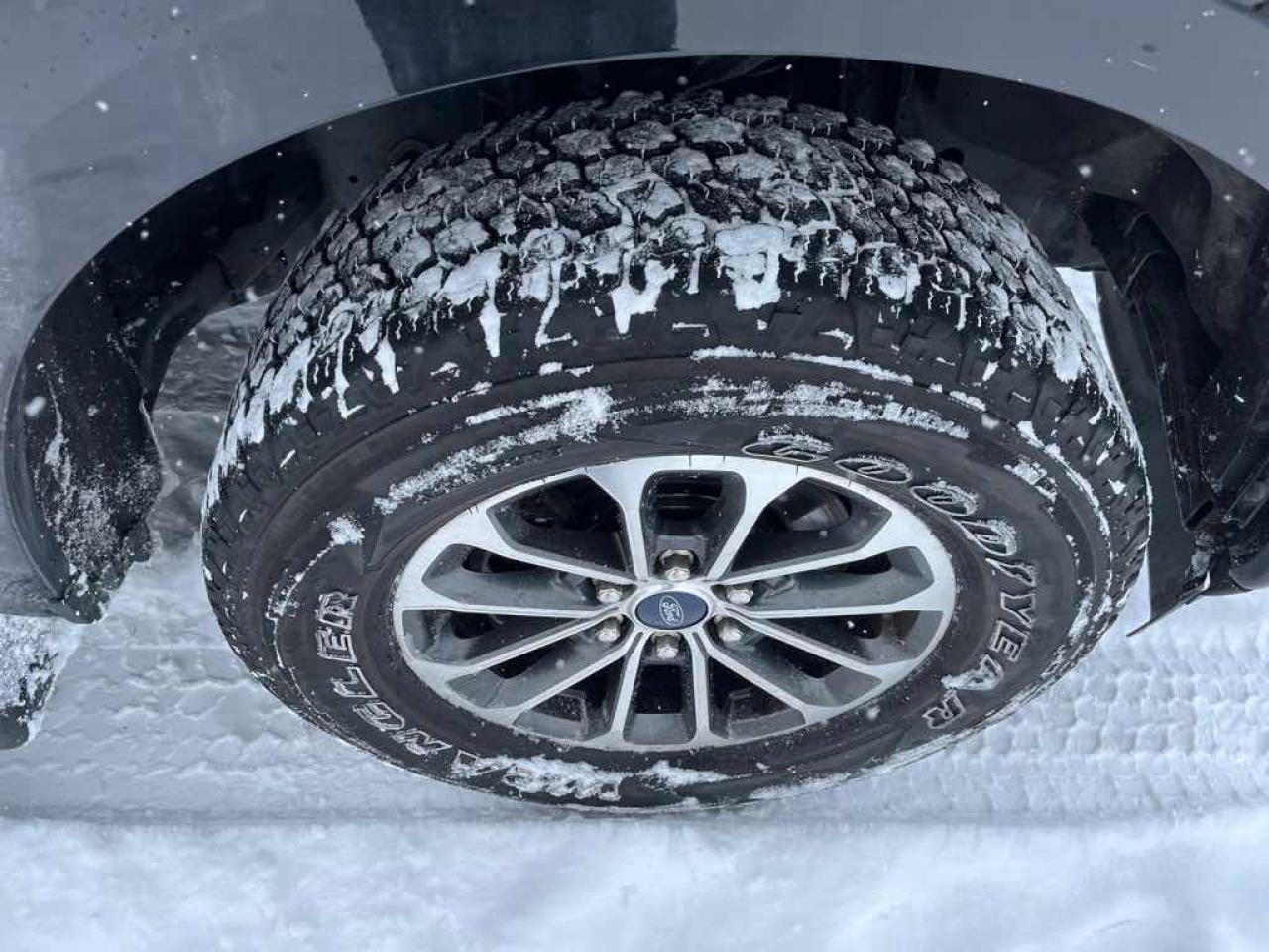 2020 Ford F-150 POLICE RESPON Photo