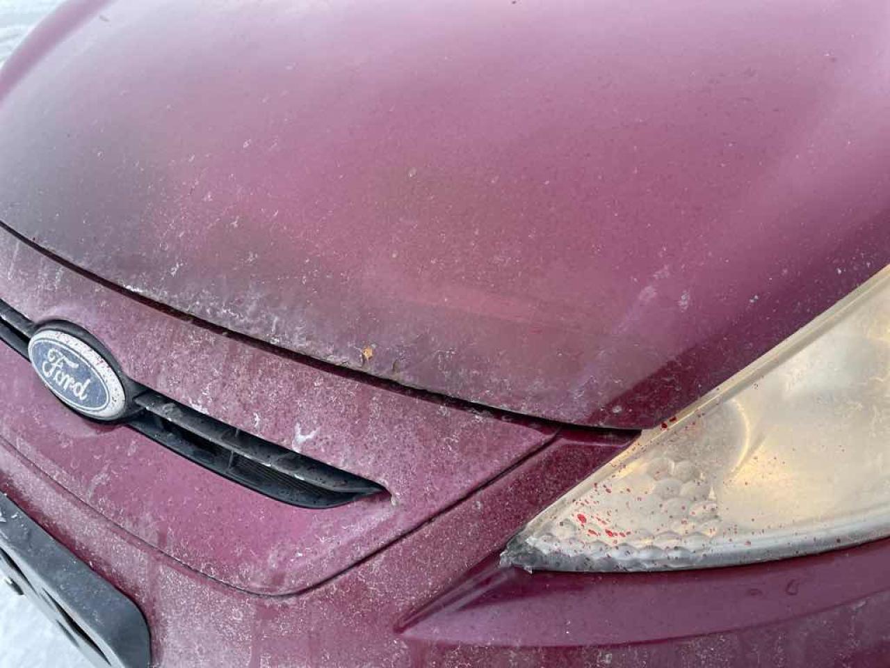 2011 Ford Fiesta SE Photo