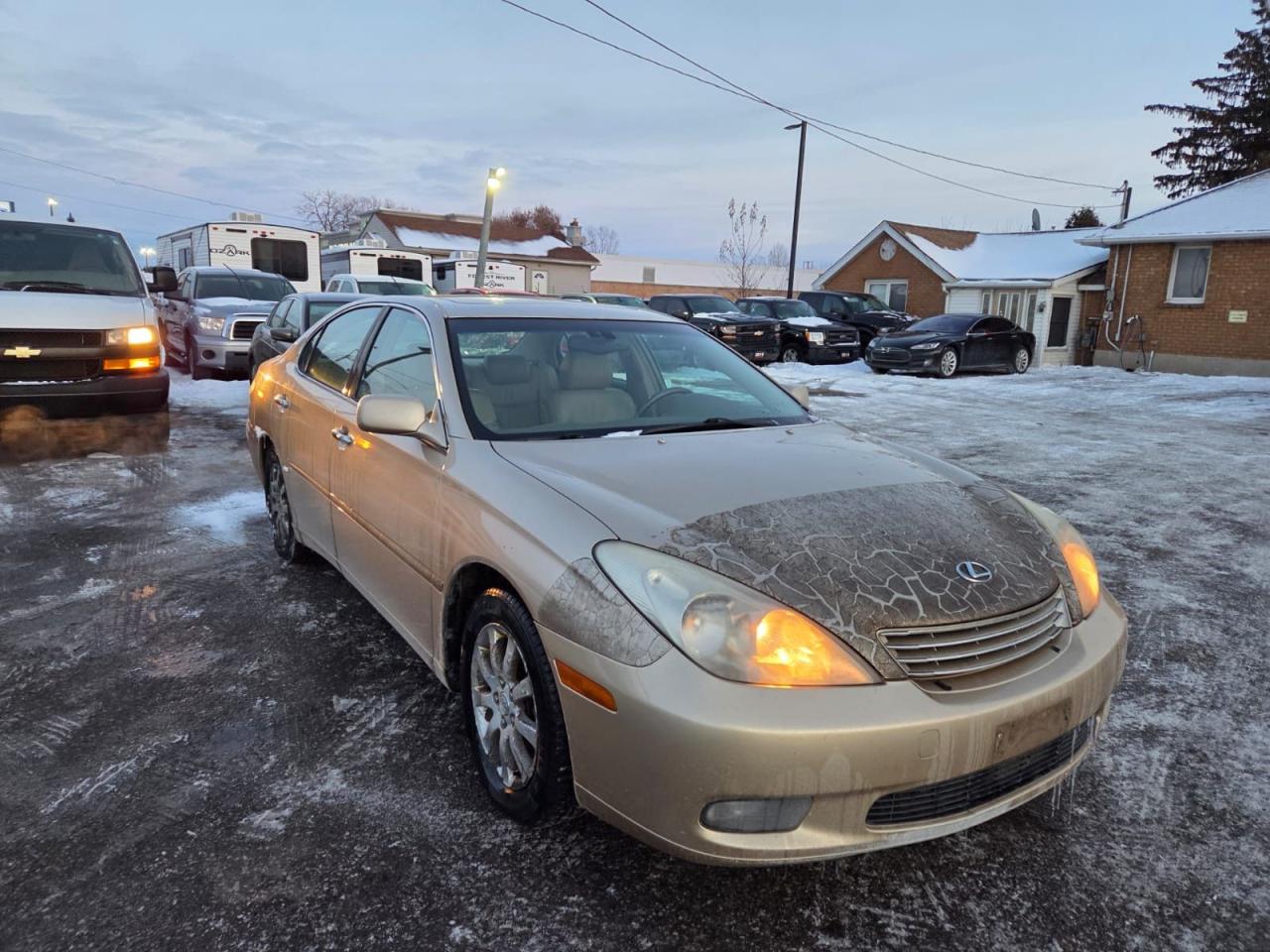 2004 Lexus ES 330  - Photo #7