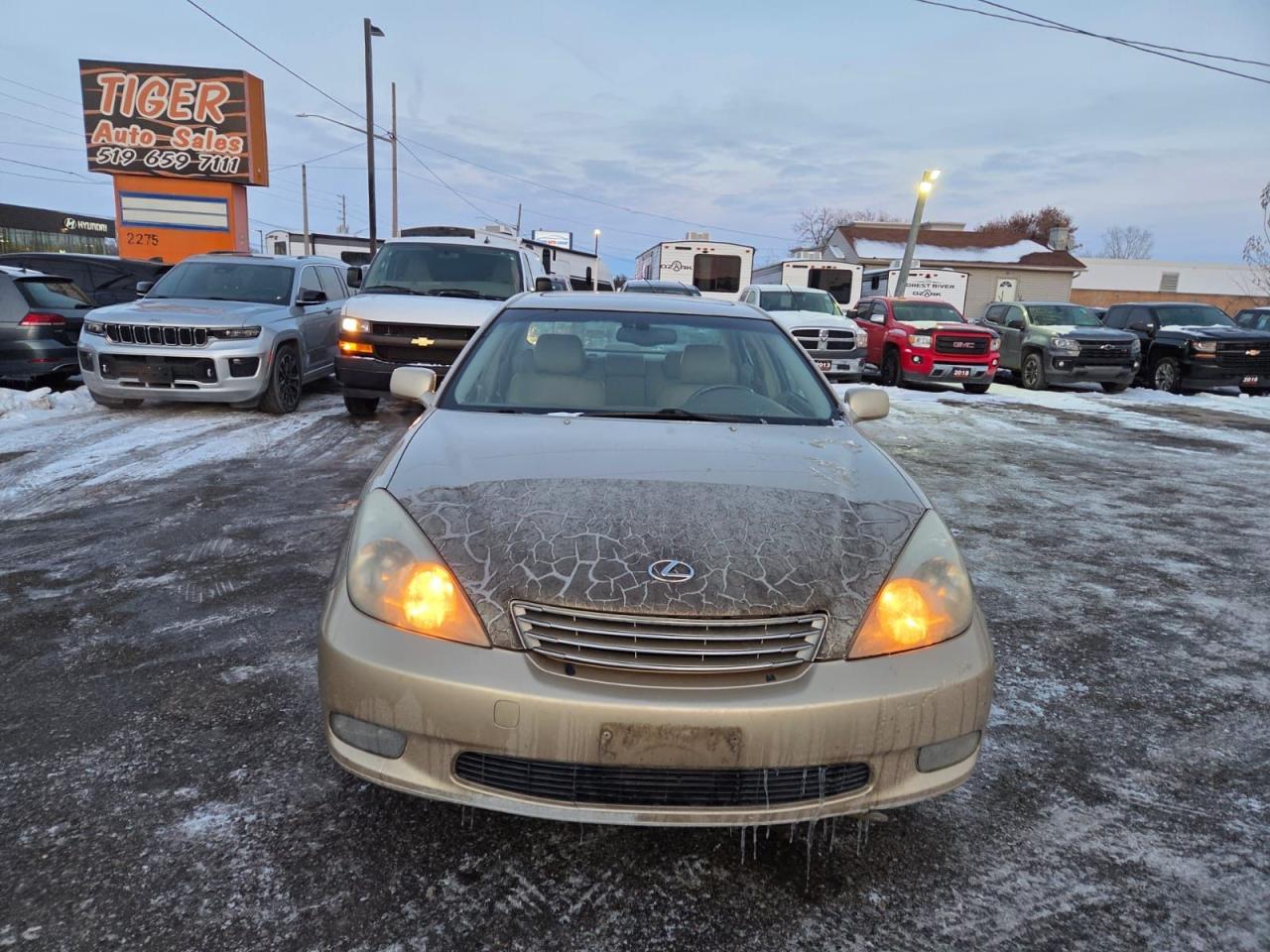 2004 Lexus ES 330  - Photo #8