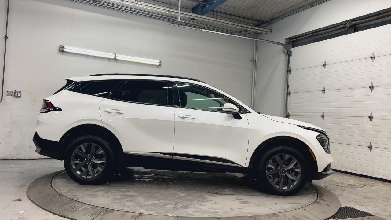 2023 Kia Sportage Hybrid SX HYBRID AWD | 227HP TURBO | LEATHER | PANO ROOF Photo